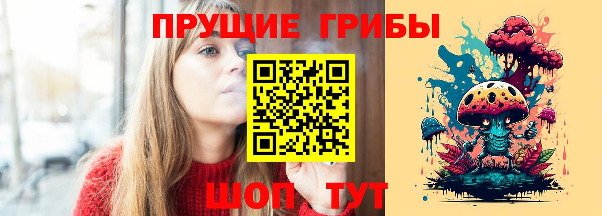 что такое   Псилоцибиновые грибы Psilocybine cubensis  Вход с VPN  Новоалтайск  Галлюциногенные грибы Magic Shrooms 