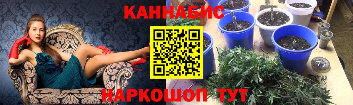 Конопля семена Новоалтайск