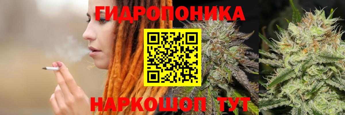 Шишки марихуана Bruce Banner  Вход с VPN  Новоалтайск  Шишки марихуана VHQ 